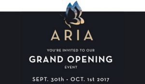 Seeno Homes Aria Grand Opening