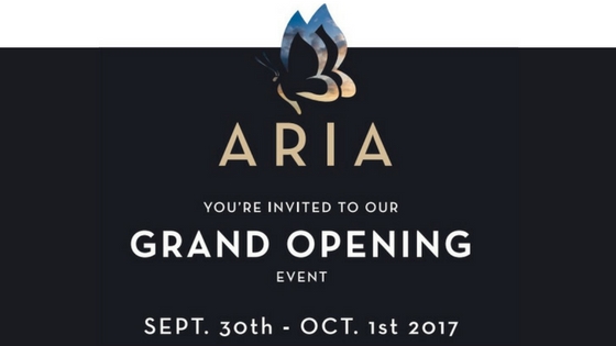 Seeno Homes Aria Grand Opening