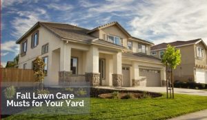 Fall Lawn Care Musts for Your Yard