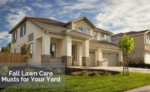 Fall Lawn Care Musts for Your Yard